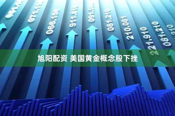 旭阳配资 美国黄金概念股下挫